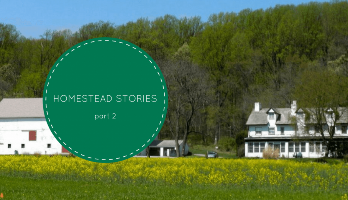 HOMESTEAD STORIES 2