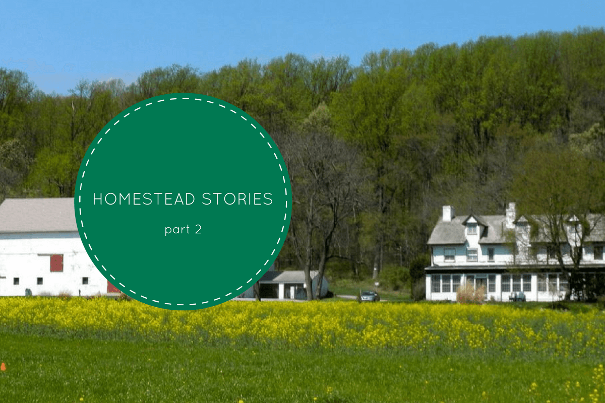 HOMESTEAD STORIES 2