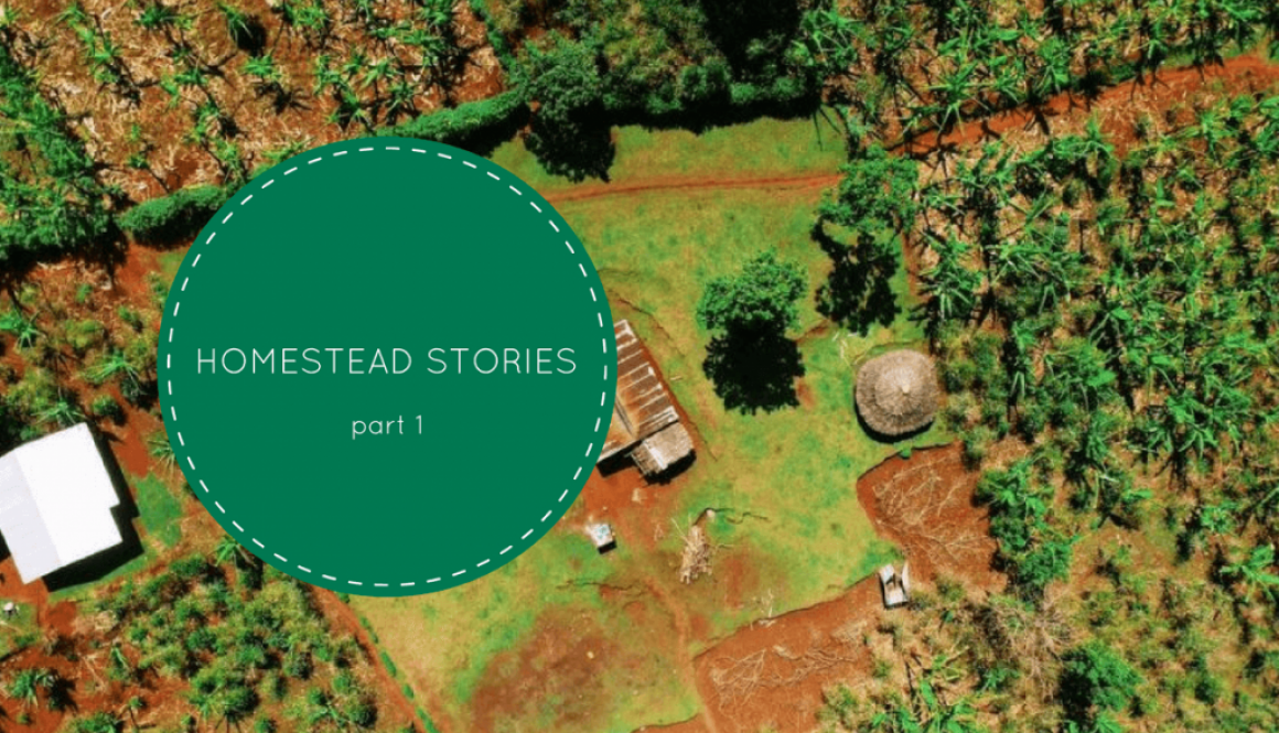 HOMESTEAD STORIES 3