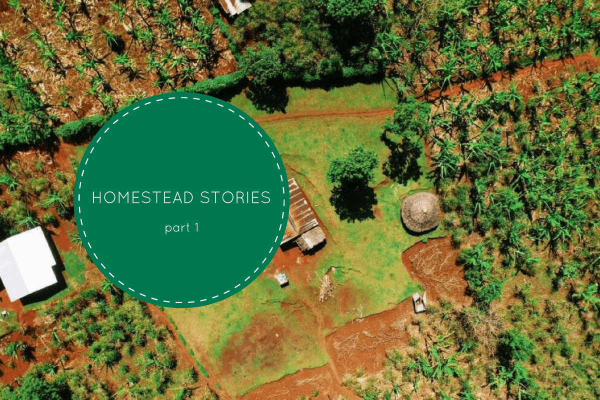 HOMESTEAD STORIES 3