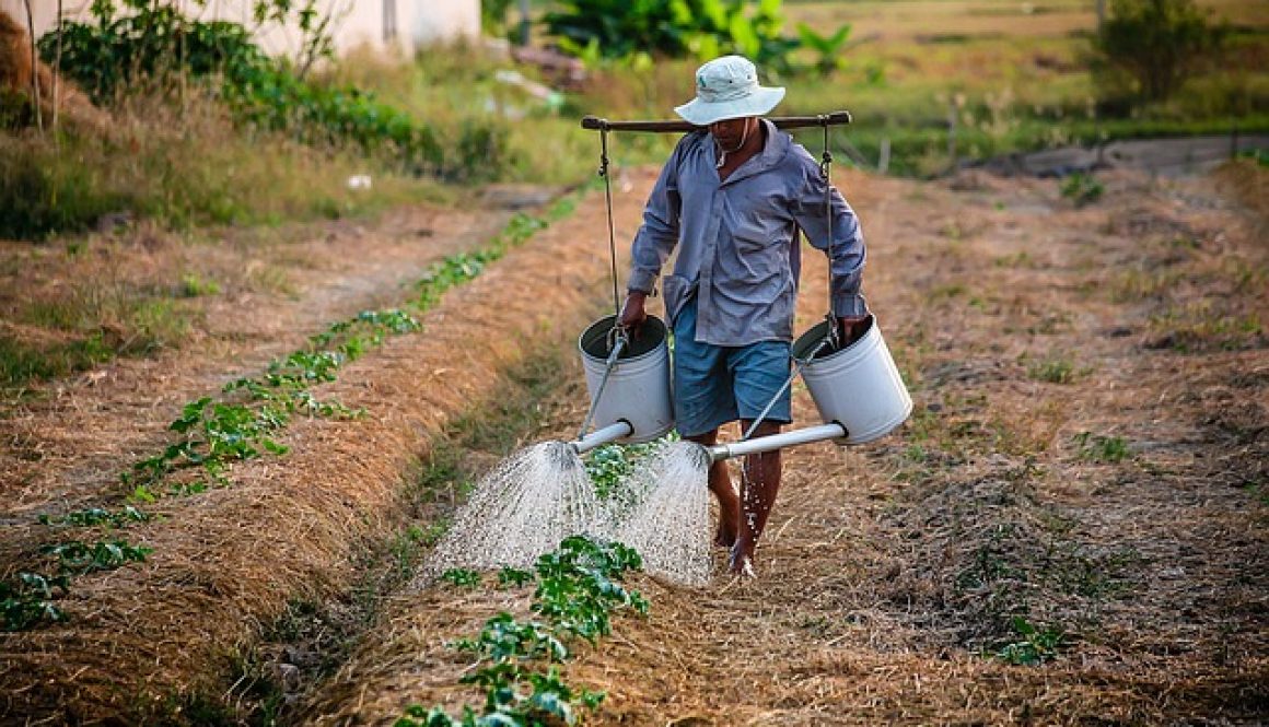 watering man