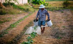 watering man