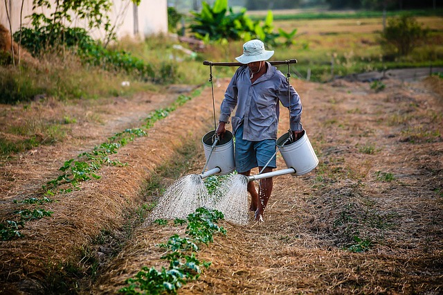 watering man